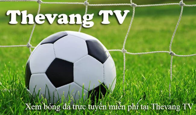 The Vang TV cung cấp thông tin về tỷ lệ bóng đá trên wap, trang ThevangTV