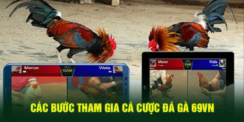 Cách chơi đá gà online hiệu quả